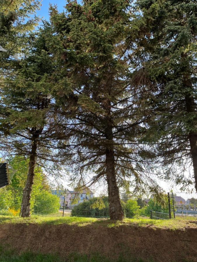 Apartament Pod Swierkiem Jastrzebia Gora Bagian luar foto